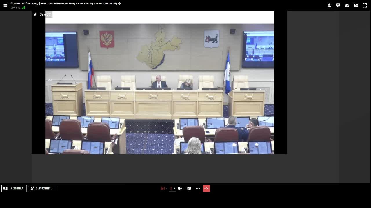 2025-11-10 Публичные слушания по проекту закона Иркутской области