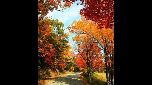 Песня ПРЕКРАСНАЯ ОСЕНЬ