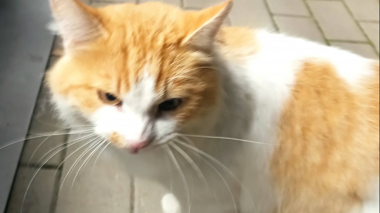 Заставки Телеканала JETIX Реклама (новые)