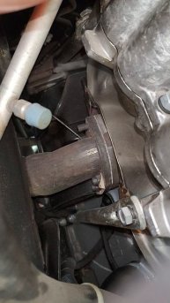 ВАЗ "Радует"