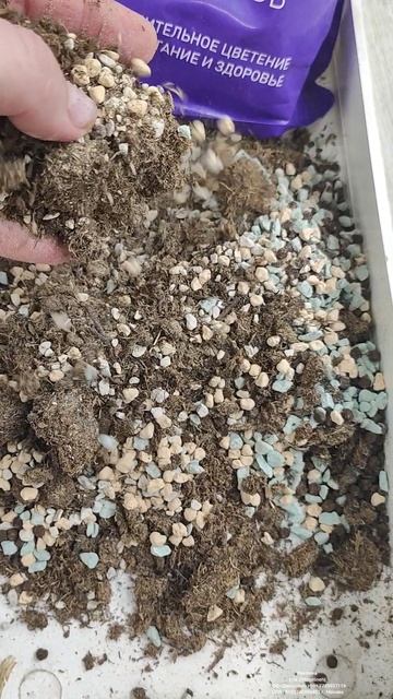 Мало кто знает этот метод даже чахлый декабрист сразу зацветет