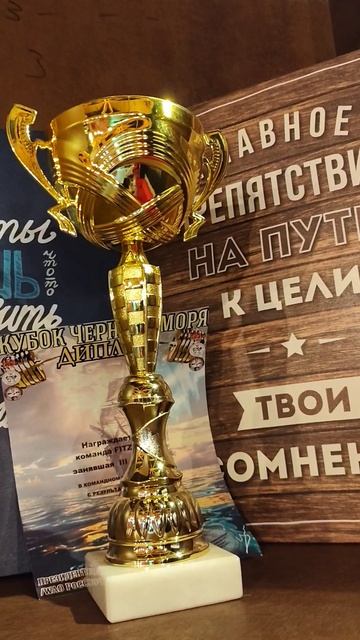 кубки, заработанные в этом году