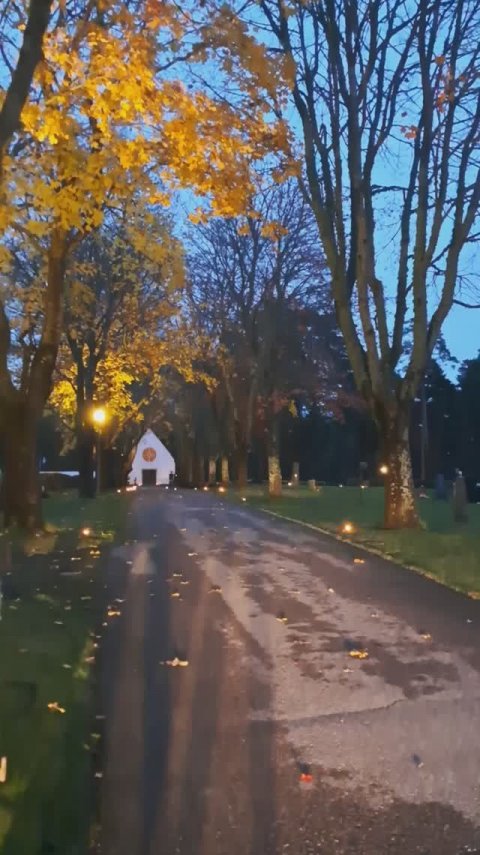 Шведское клабище в День Всех Святых