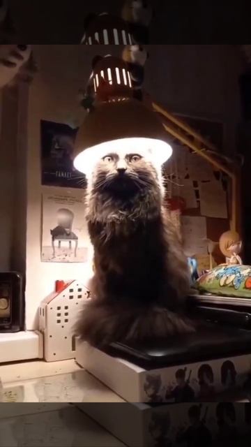 Стираем память об ужине