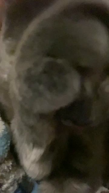 Что-то нос зачесался. К чему бы это?