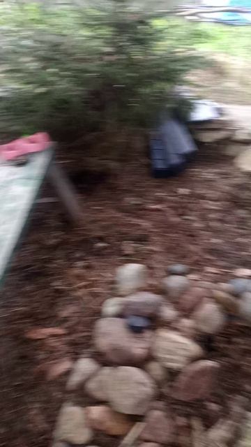 10-11-2025Тимохины игры