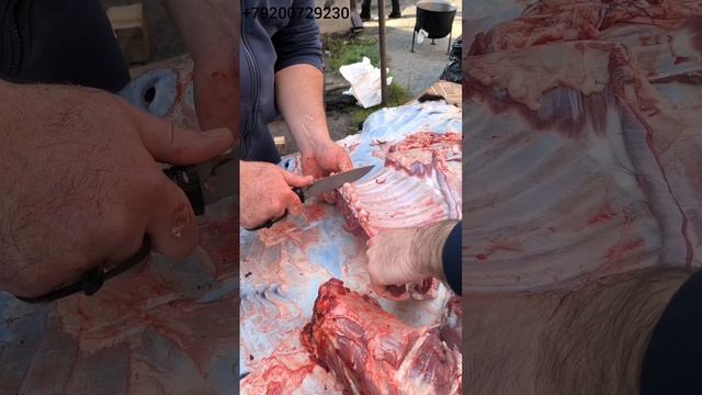 Тест ножа от Горшкова Андрея из стали BOHLER S390