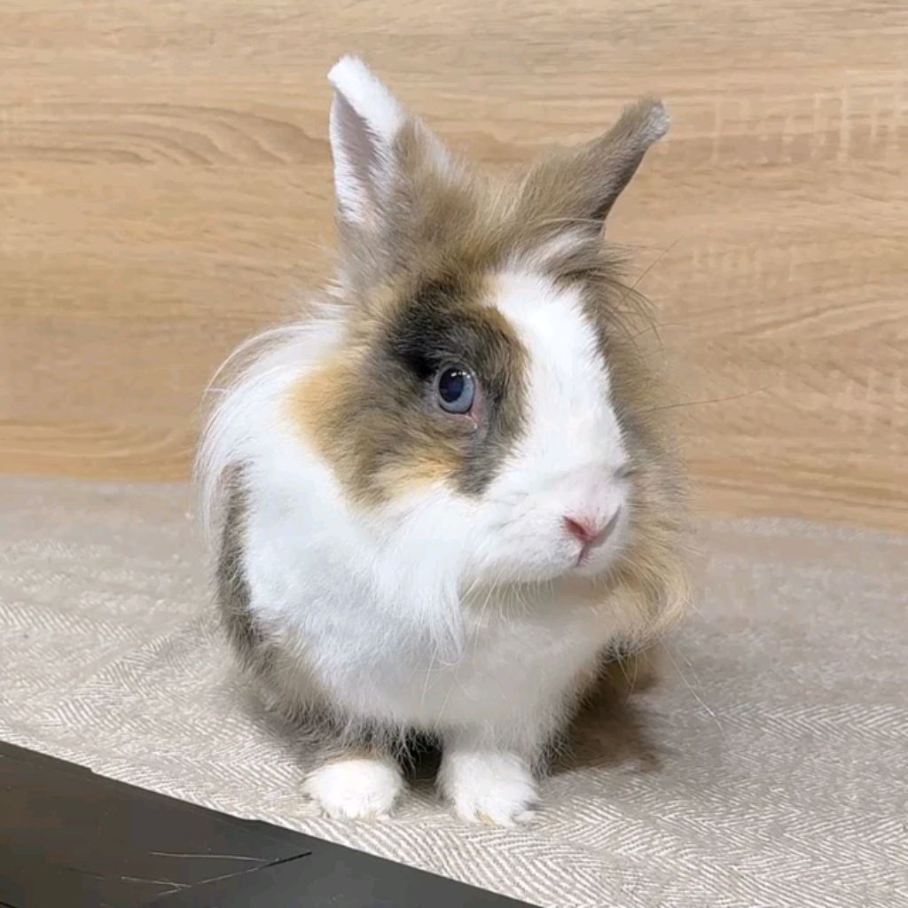 делайте. это обязательно. 🙏🙏