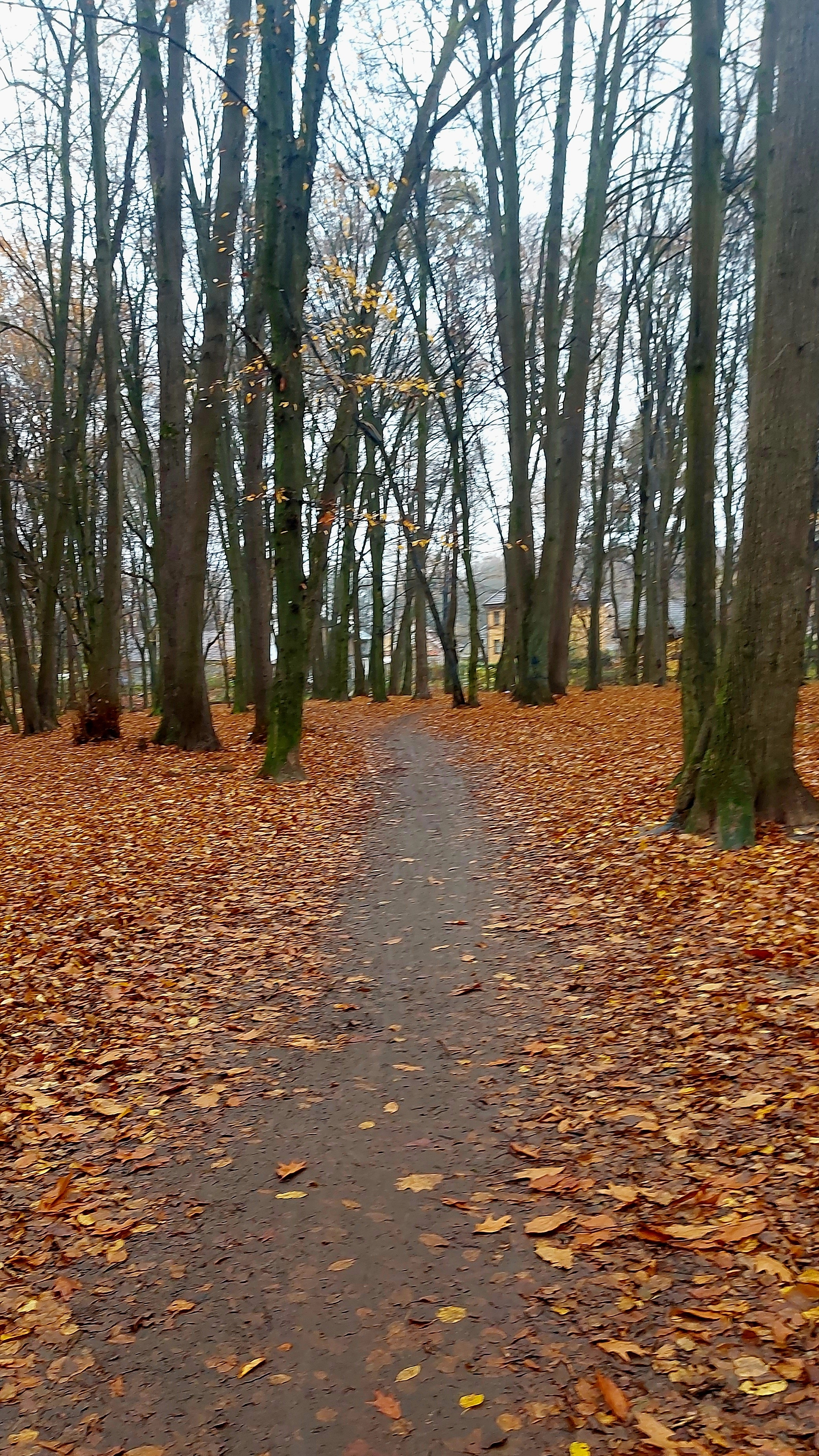 Не много из истории Калининграда,бывшего Кёнигсберга🤓