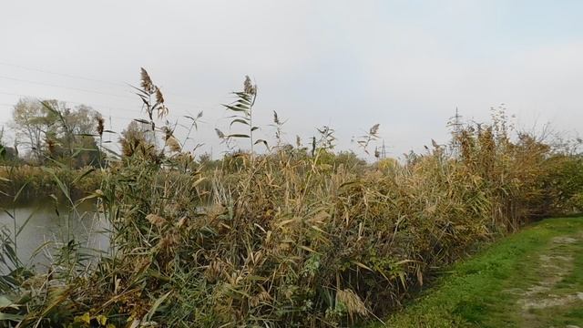 09=11=2025 ник ТЭЦ (72)