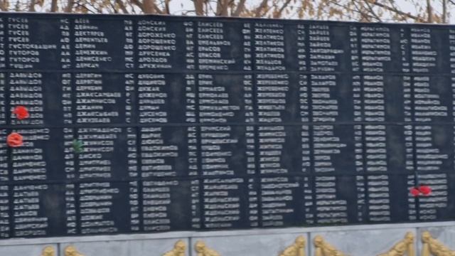 В посёлке Чаны, Новосибирской области. 9 ноября 2025 год.