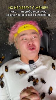 Слушай песню в шапке профиля