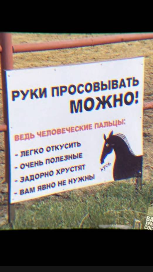 Не бросайте окурки на пол, тараканы могут заболеть раком