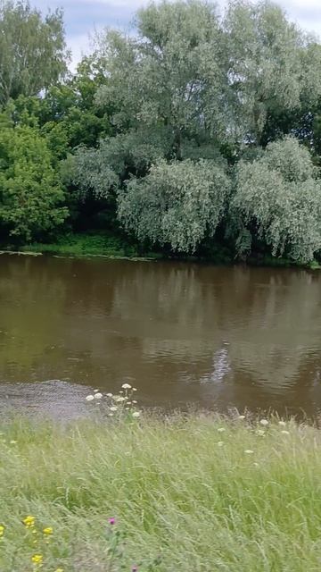 Любимое место в городе Павловский Посад новый парк Меленки на набережной реки Клязьма