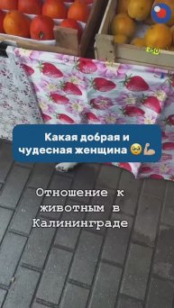 Как же повезло этим лапушкам с человеческой мамой ❤️