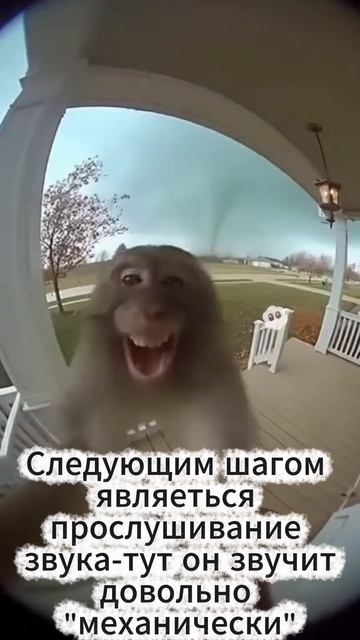 Видео памятка