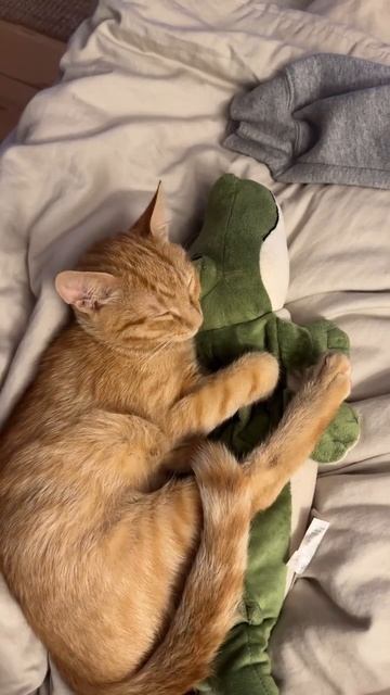 Присоединяемся к динозаврам