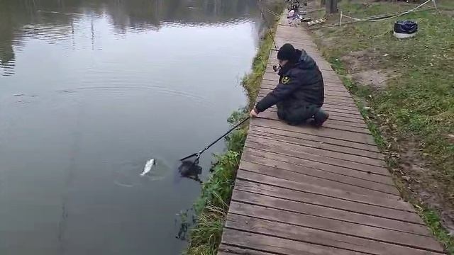 Основной блесна