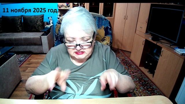 11 ноября 2025 год.