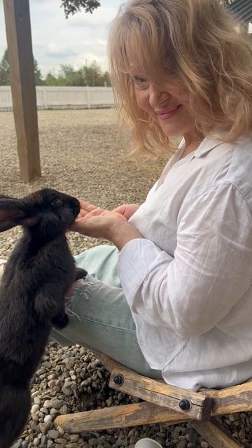 Ферма Альпак