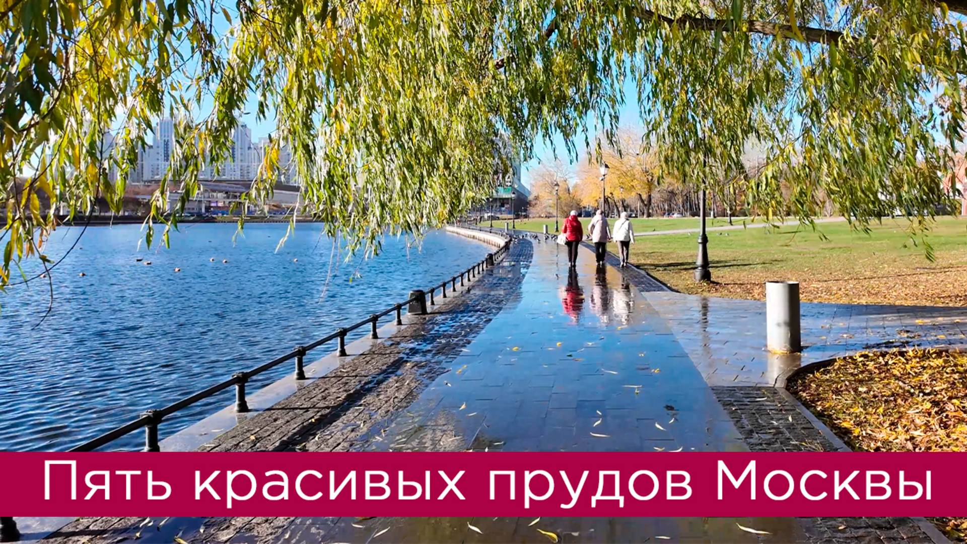 Пять красивых прудов Москвы