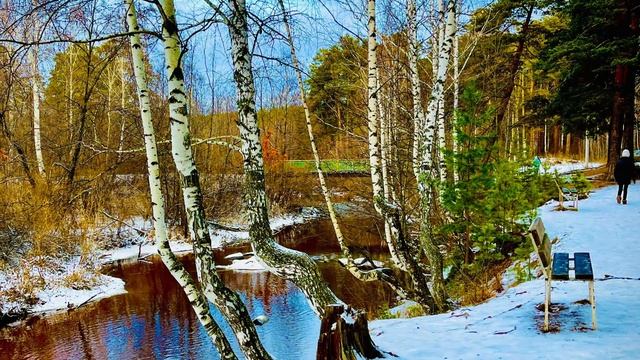 В лесу у реки, район Некрасовского моста, Асбест, Средний  Урал🏞️