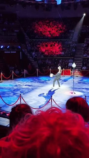 Шоу воды Огня и света Брянское выступление