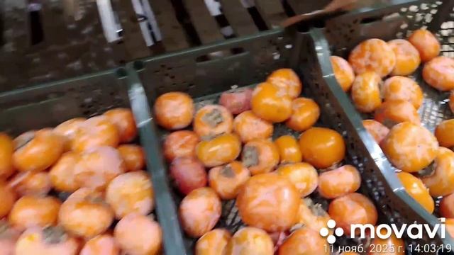 Выгодные цены в магазине МАГНИТ на фрукты.