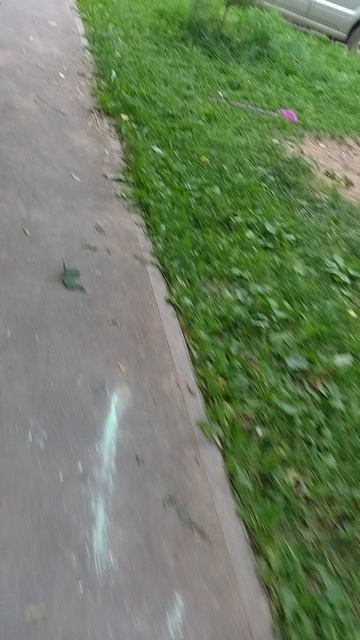 №378. Двор П. Осипенко 48. 1 августа 2025 г., 20:31:03. VID_20250801_203017016