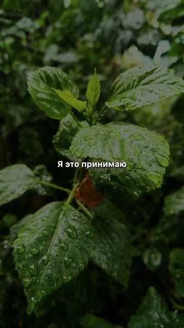 Что такое возвращение к первой любви #shorts #любовь #вера