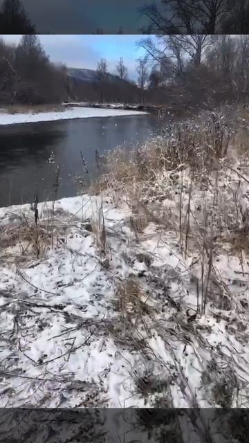 Поздняя осень на реке. Медведь шатун пришёл к рыбакам на берег!.