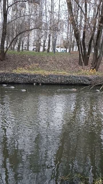 Вольные каменщики - это Волхвы! Просто каменщики - это масоны Старообрядчество Беспоповство.