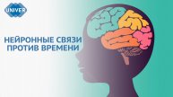 СЕКРЕТЫ ВЕЧНОЙ МОЛОДОСТИ МОЗГА: ПРОСТЫЕ ПРАВИЛА ДЛЯ ДОЛГОЙ ПАМЯТИ