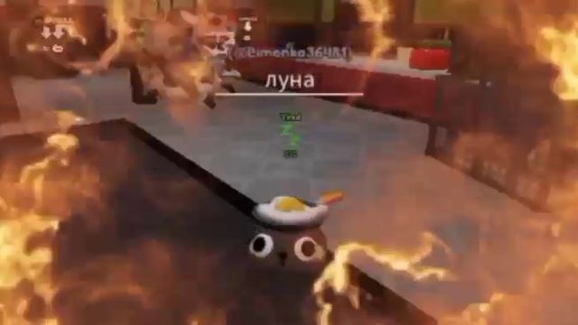 почему у меня видео не загружается