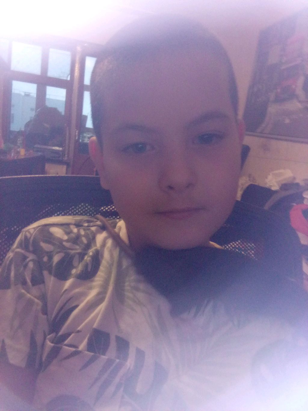 трансляция с крыской (домашняя)