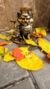 Котики в Евпатории Крым 2025