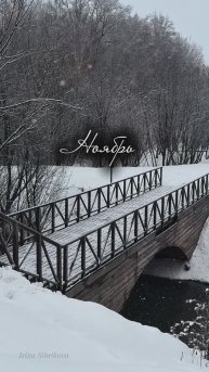 Сибирский ноябрь - снежная сказка ❄️💙