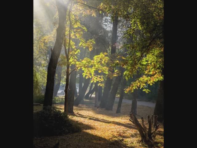 "ОСЕНЬ ЗАЖИГАЕТ!"... (Фото Вадима КОТОВА (Рязань), музыка Фредди ХАББАРДА (США))
