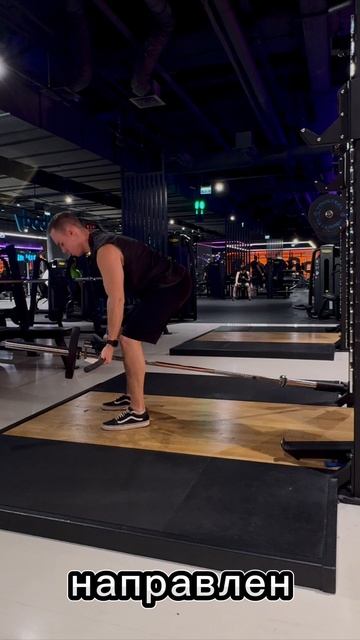 Спина. Т-тяга штанги в наклоне обратным хватом