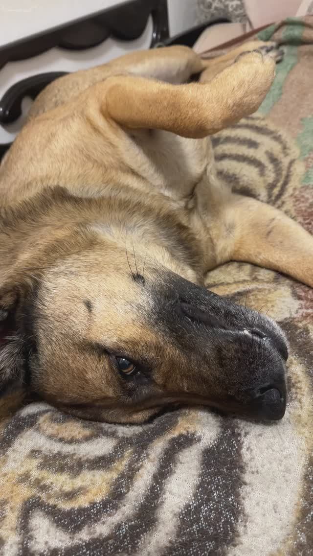 ЭТО Я РЫЖИК - ВЫ НЕ УЗНАЛИ МЕНЯ ? НУ ВЫ ДАЁТЕ.....