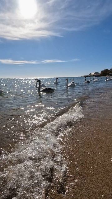 Евпатория Ноябрь 2025 в Крым вернулось тепло