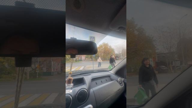 Предпродажный видео обзор Рено Дастер 2012 год на двухлитровом моторе, полный привод!