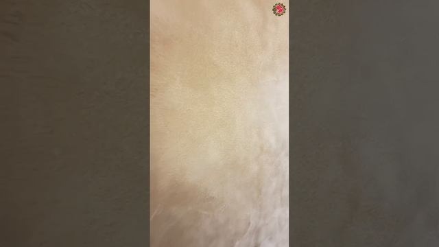 ✅Новороссийск, ЖК «Аврора-2»🏚Ремонт квартиры 70,3 кв/м🔑Финальная стадия⚡Сроки, цены, материалы