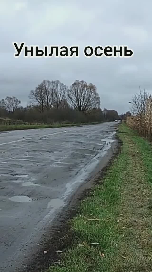 Ноябрь стоял уж у двора (А. С. Пушкин)