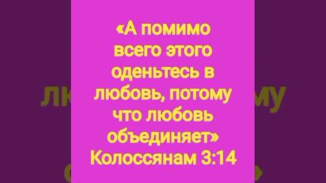 video_11027413931378.mp4