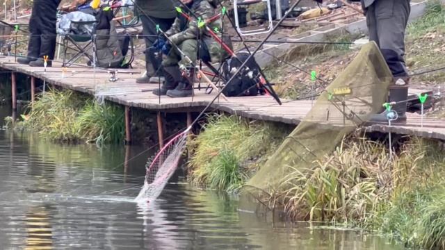 Поимки Основной водоем