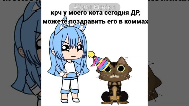 4 года исполняется моему пусечке☕