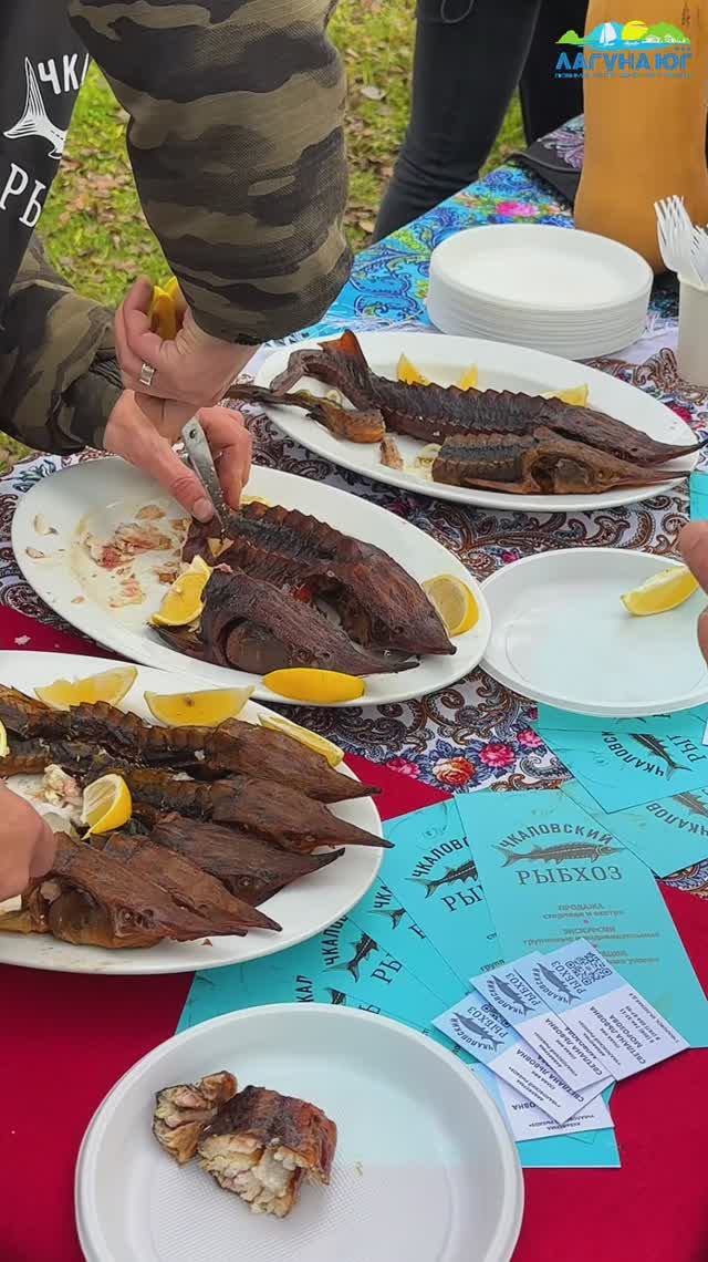 🎉 Семейный фестиваль, где сердца бьются в унисон!