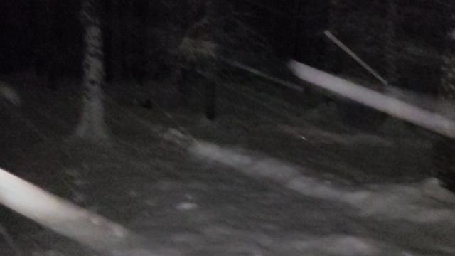 В лесу: украинская идея и пределы параллельности. Схема ядерной войны, американская ракета AGM-181A