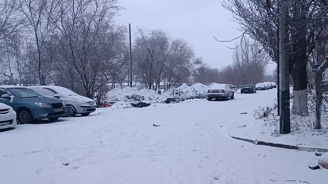 Вот какая у нас зима настала